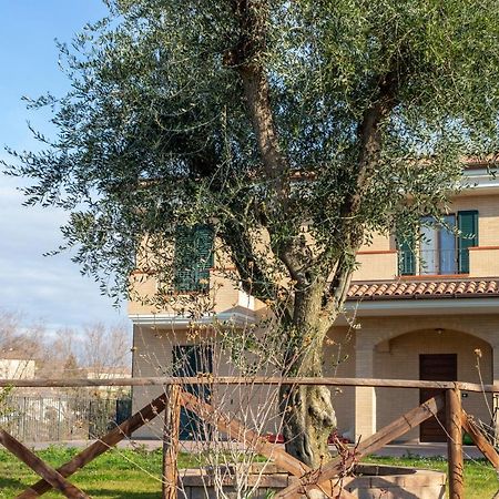 La Merlana Affittacamere Morrovalle Exterior foto