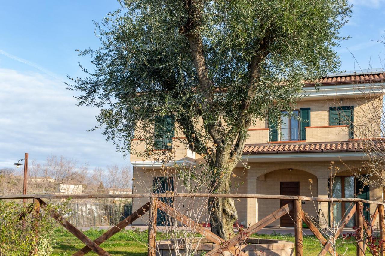 La Merlana Affittacamere Morrovalle Exterior foto